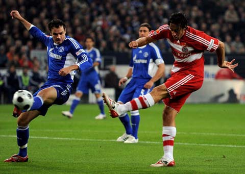 理应以更高 理应以更高