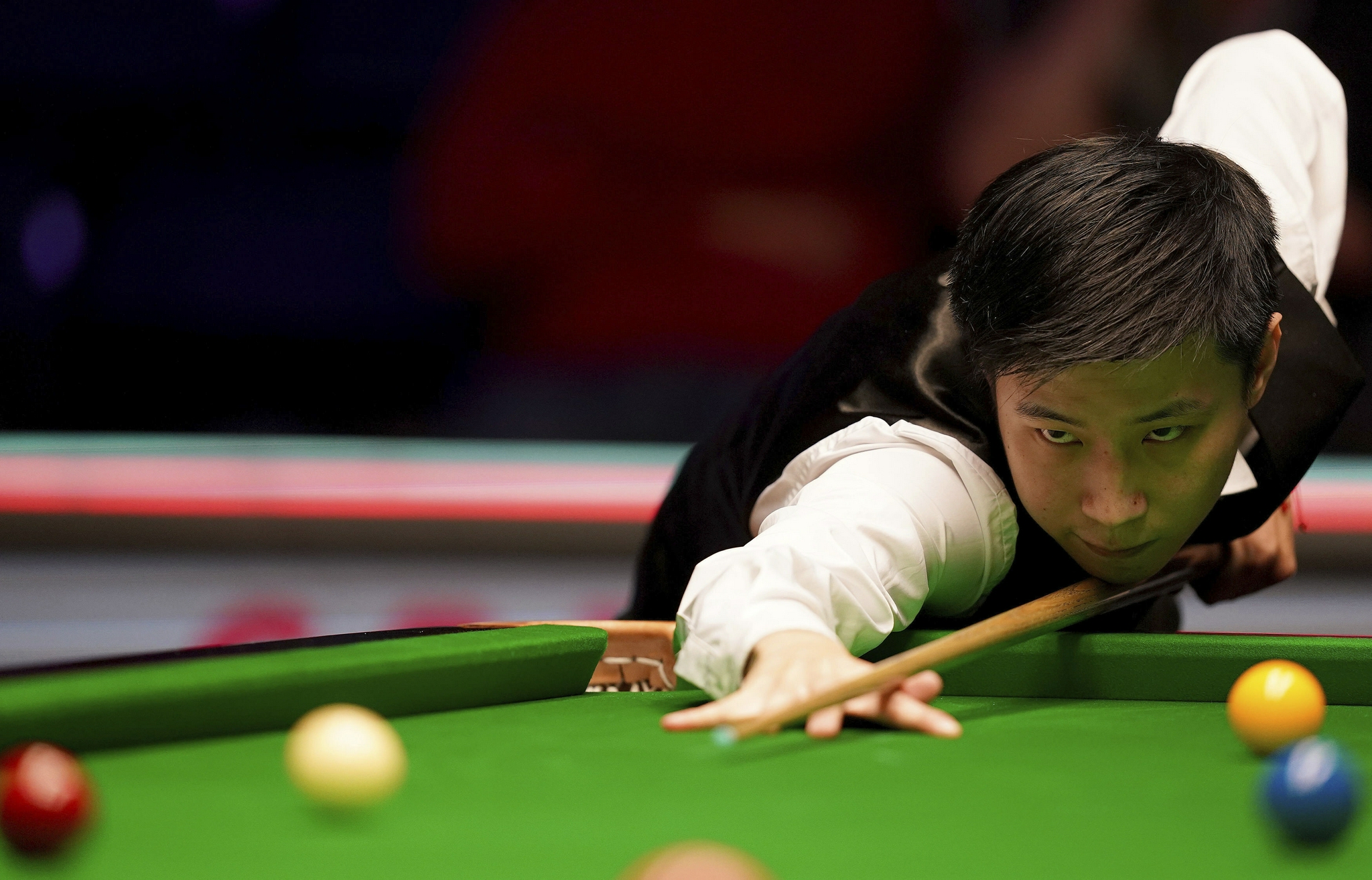 张伟丽再次 张伟丽再次